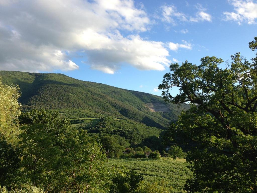 Agriturismo Nizzi Villa Assisi Exterior photo